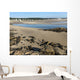 Ogunquit beach and river at moring low tide, Maine Wall Mural