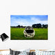 American Football Helmet in Grass Wall Mural