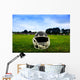 American Football Helmet in Grass Wall Mural