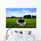 American Football Helmet in Grass Wall Mural