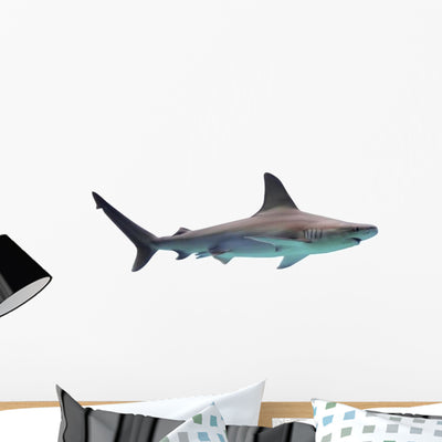 Shark Wall Decal shown on a wall