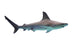 Shark Wall Decal