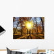Autumn Park Wall Decal Design 1