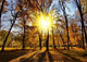 Autumn Park Wall Decal Design 1