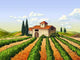 Italian Vineyard Wall Decal
