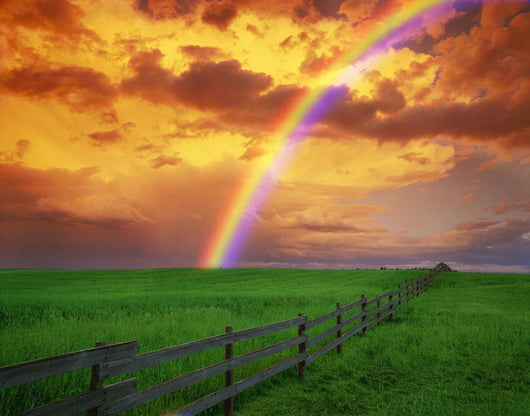 Rainbow Country Field with Wall Decal