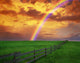Rainbow Country Field with Wall Decal