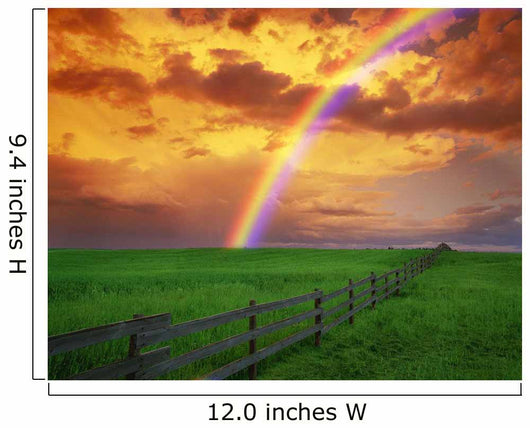 Rainbow Country Field with Wall Decal