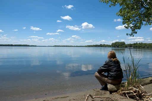 Seeblick Minnesota Wall Decal
