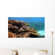 Acropora Corals Wall Decal