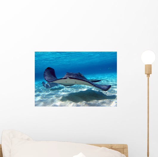 Southern Stingray 09 Wall Mural