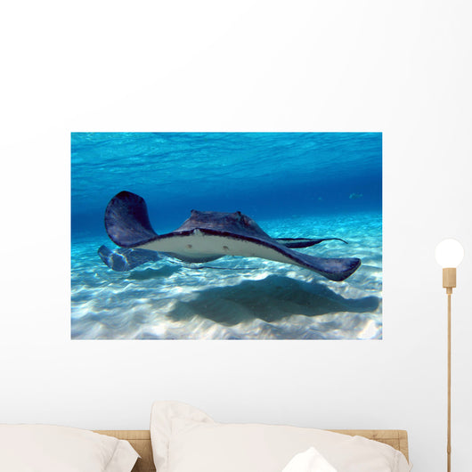 Southern Stingray 09 Wall Mural