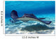 Southern Stingray 09 Wall Mural