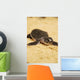 Baby Sea Turtle 05 Wall Mural