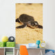 Baby Sea Turtle 05 Wall Mural