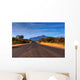 Desert Mountain Road Wall Decal