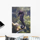 Sea Horse Wall Decal