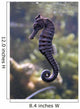 Sea Horse Wall Decal