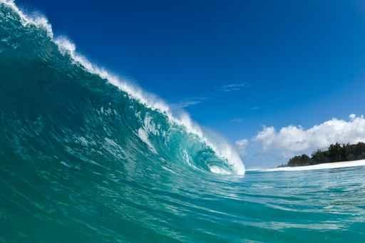 Giant Wave Wall Decal