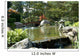 Japanese Water Garden Wall Mural