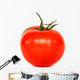 Tomato Wall Decal