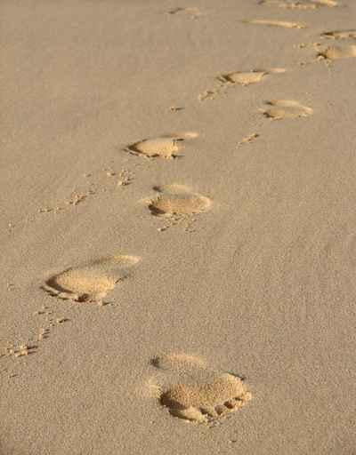 Tracks Sand Wall Decal Design 1