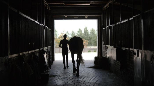 Young Jockey Walking Horse Wall Decal
