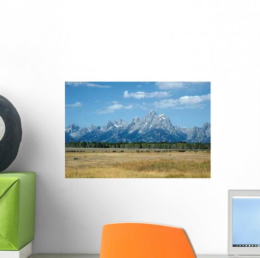 Bison Grand Tetons Wall Decal
