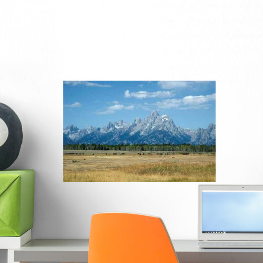 Bison Grand Tetons Wall Decal