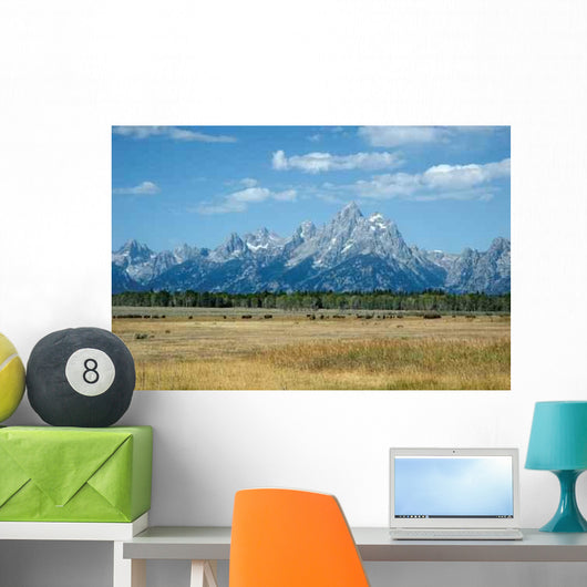 Bison Grand Tetons Wall Decal