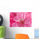 macro of pink geranium flowers with water droplets Wall Mural