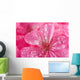 macro of pink geranium flowers with water droplets Wall Mural