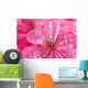 macro of pink geranium flowers with water droplets Wall Mural
