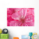 macro of pink geranium flowers with water droplets Wall Mural