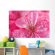 macro of pink geranium flowers with water droplets Wall Mural
