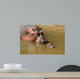 Hippopotamus baby with mum Wall Mural