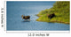 Moose Crossing Wall Mural