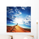 Desert Wall Decal Design 1