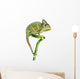 Chameleon on Bamboo Wall Decal