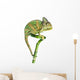 Chameleon on Bamboo Wall Decal