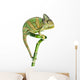 Chameleon on Bamboo Wall Decal