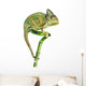 Chameleon on Bamboo Wall Decal