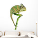 Chameleon on Bamboo Wall Decal