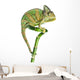 Chameleon on Bamboo Wall Decal