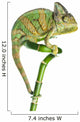 Chameleon on Bamboo Wall Decal