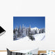 Arber Wall Decal