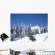 Arber Wall Decal