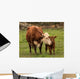 Momma Cow and Calf Wall Decal