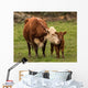 Momma Cow and Calf Wall Decal