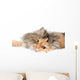 Cat on gray background Wall Decal